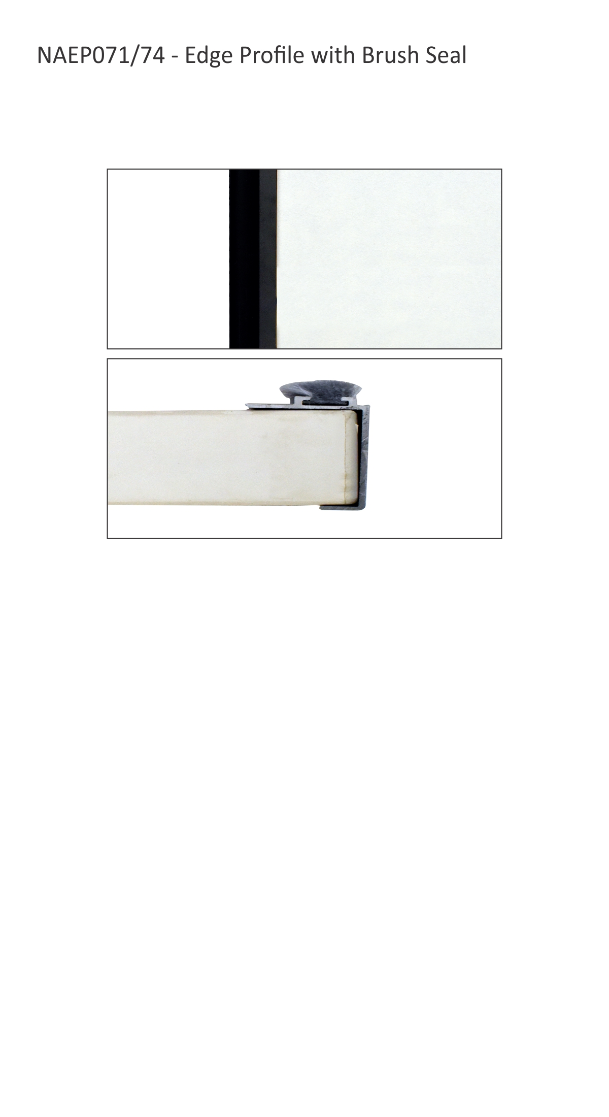 Reference Image