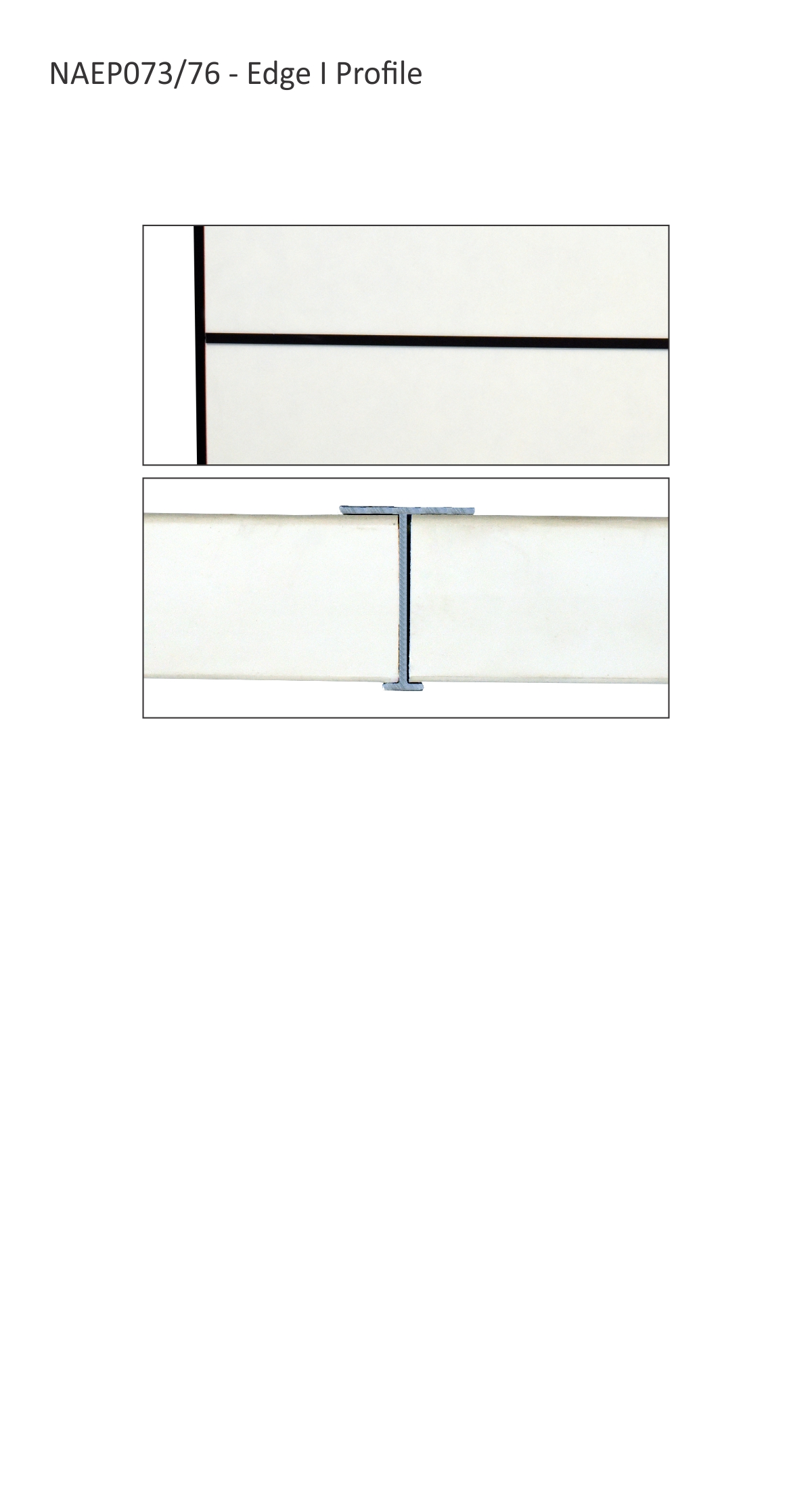 Reference Image